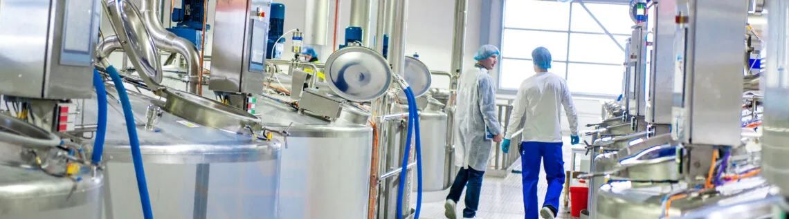 Medewerkers in de kaasmakerij