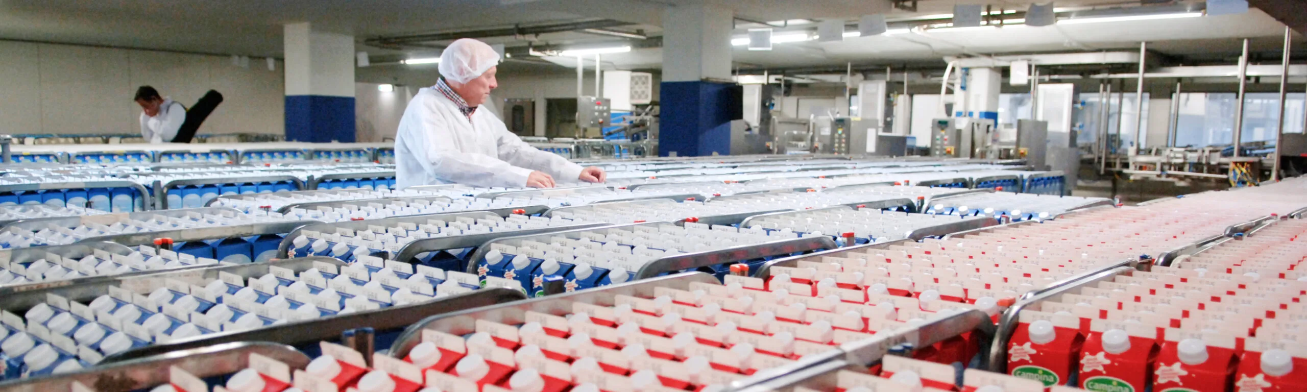 Medewerker tussen de melkpakken in de melkfabriek