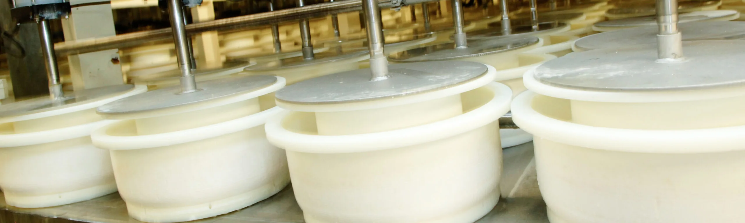 Kaas maken in de kaasfabriek