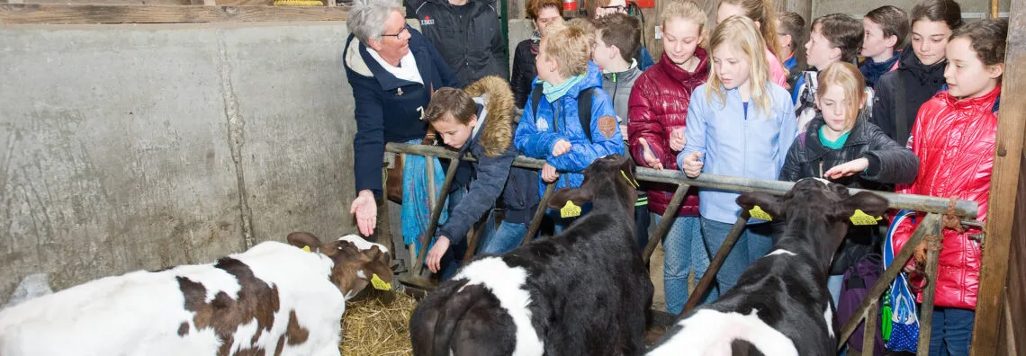 Met de klas op boerderij excursie