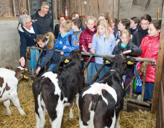 Klas op excursie op de boerderij